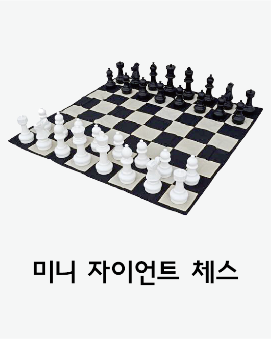 미니 자이언트 체스